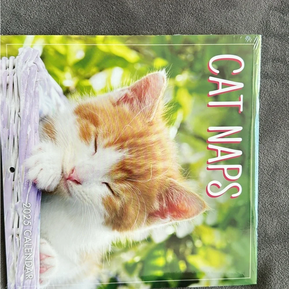 Cat Naps 2025 Calendar
